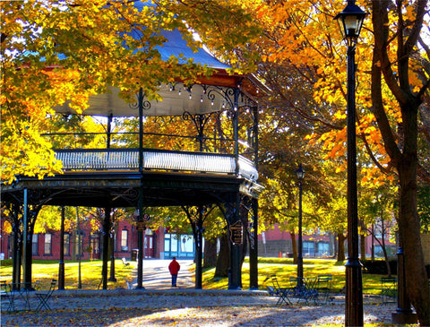 A Walk in the Square