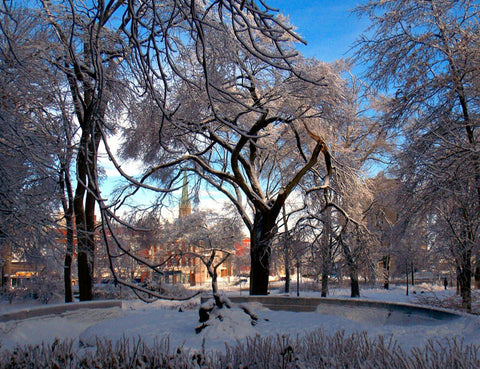 After The Ice Storm