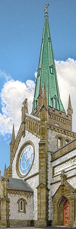 Cathedral of the Immaculate Conception - City Market Canvas Art