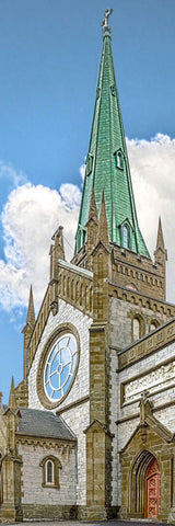 Cathedral of the Immaculate Conception