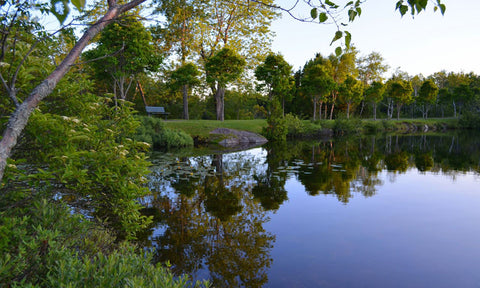 Fisher Lakes 2
