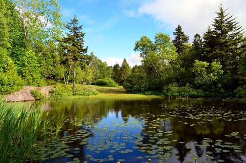 Fisher Lakes