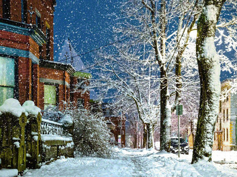 Germain Street Winter 2