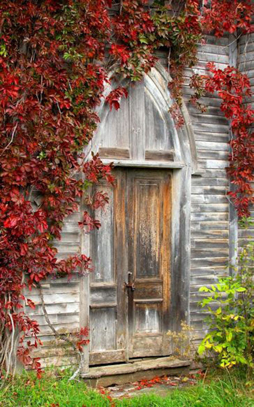 Gothic Door - City Market Canvas Art