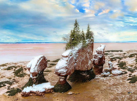 Hopewell Rocks - Winter