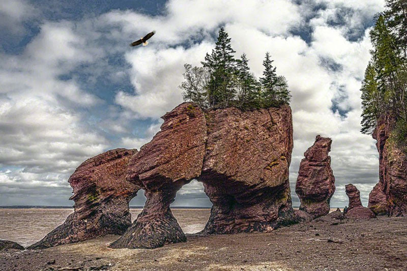 Hopewell Rocks #2 - City Market Canvas Art