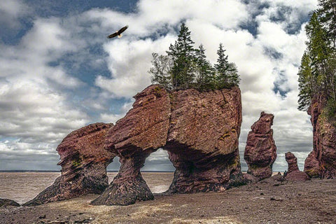 Hopewell Rocks #2