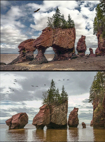 Hopewell Rocks x2