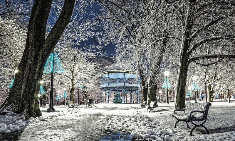 Kings Square Winter Wonderland 2 - City Market Canvas Art