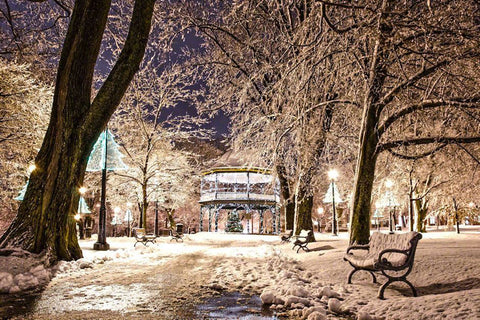 Kings Square Winter Wonderland