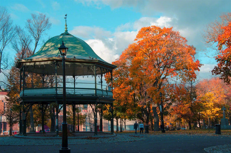 Kings Square in Autmn - City Market Canvas Art