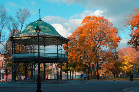 Kings Square in Autmn