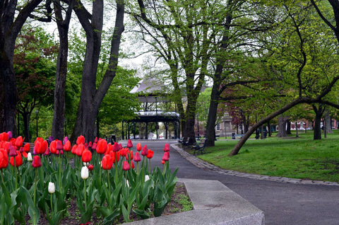 Kings Square