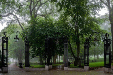 Loyalist Burial Grounds - Misty Morning