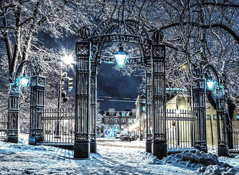 Loyalist Gates-Winter - City Market Canvas Art