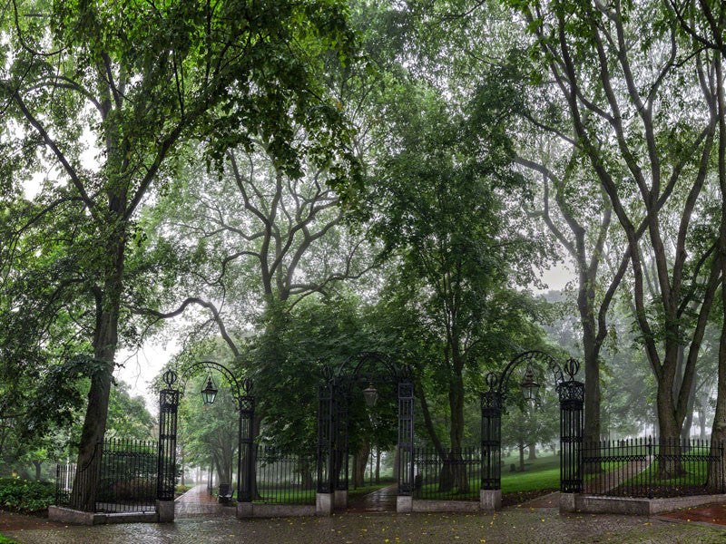 Loyalist Gates - Fog - City Market Canvas Art