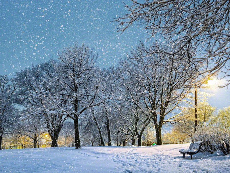 Queen Square - Winter Snow - City Market Canvas Art