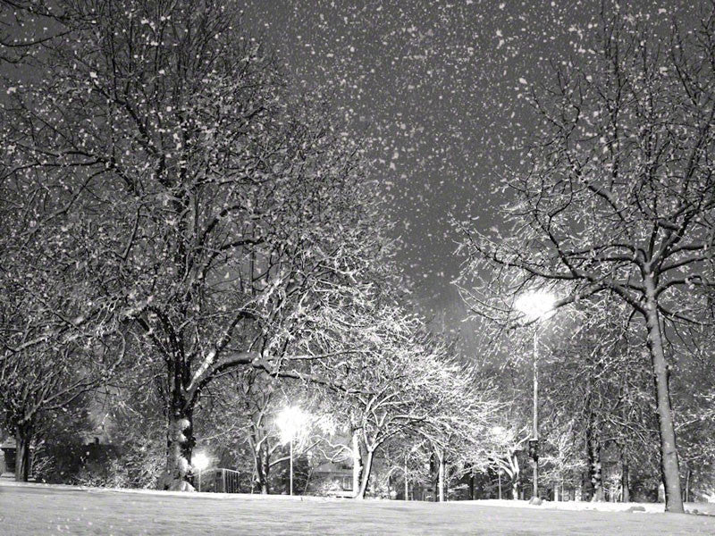 Queen Square BW - City Market Canvas Art