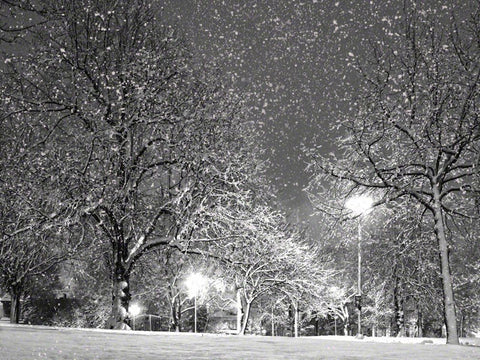Queen Square BW