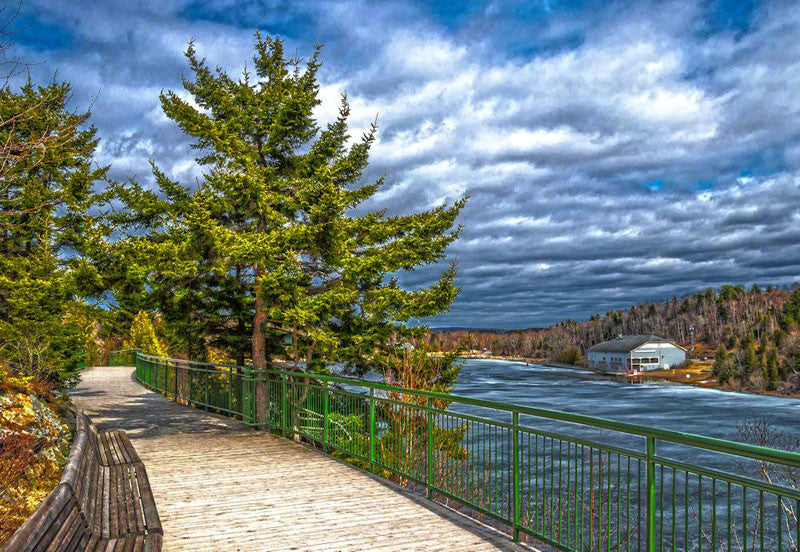 Rockwood Park - Lily Lake 2