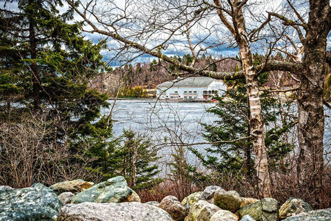Rockwood Park - Lily Lake