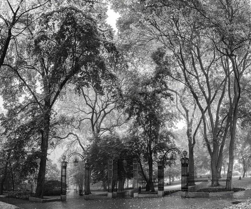 Summer Gates BW - Loyalist Gates - City Market Canvas Art