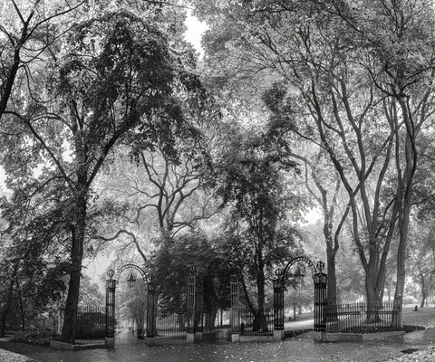 Summer Gates BW