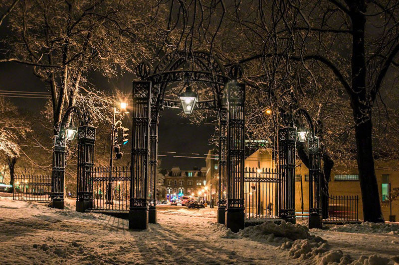 Through The Gates - Loyalist Burial Ground - City Market Canvas Art