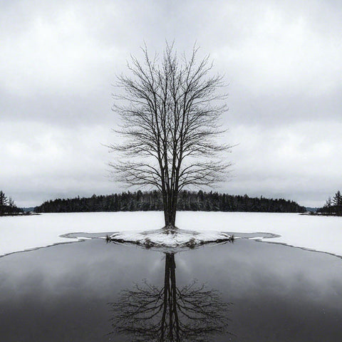 Two Reflections