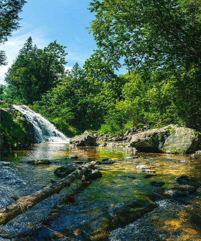 Waterfall - Silver Falls - City Market Canvas Art